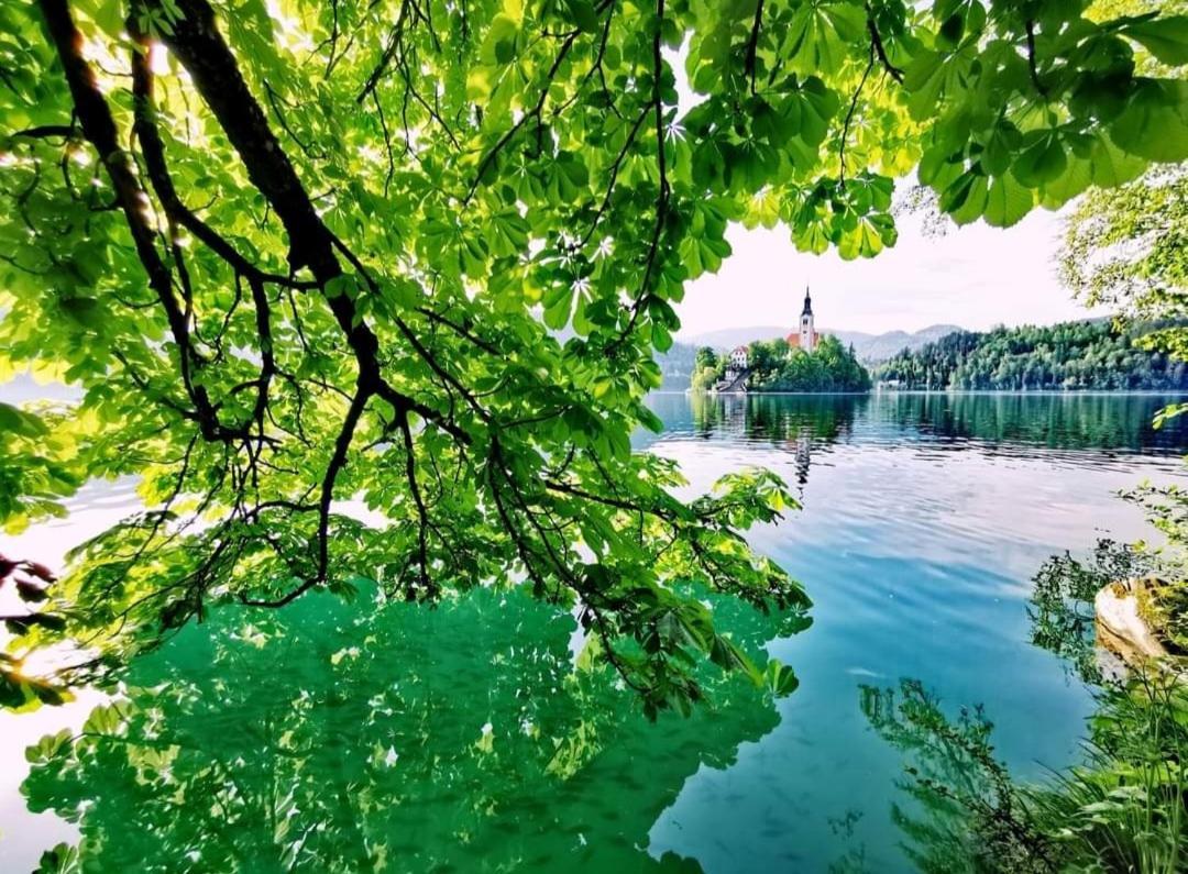 Apartments Karin Блед Экстерьер фото